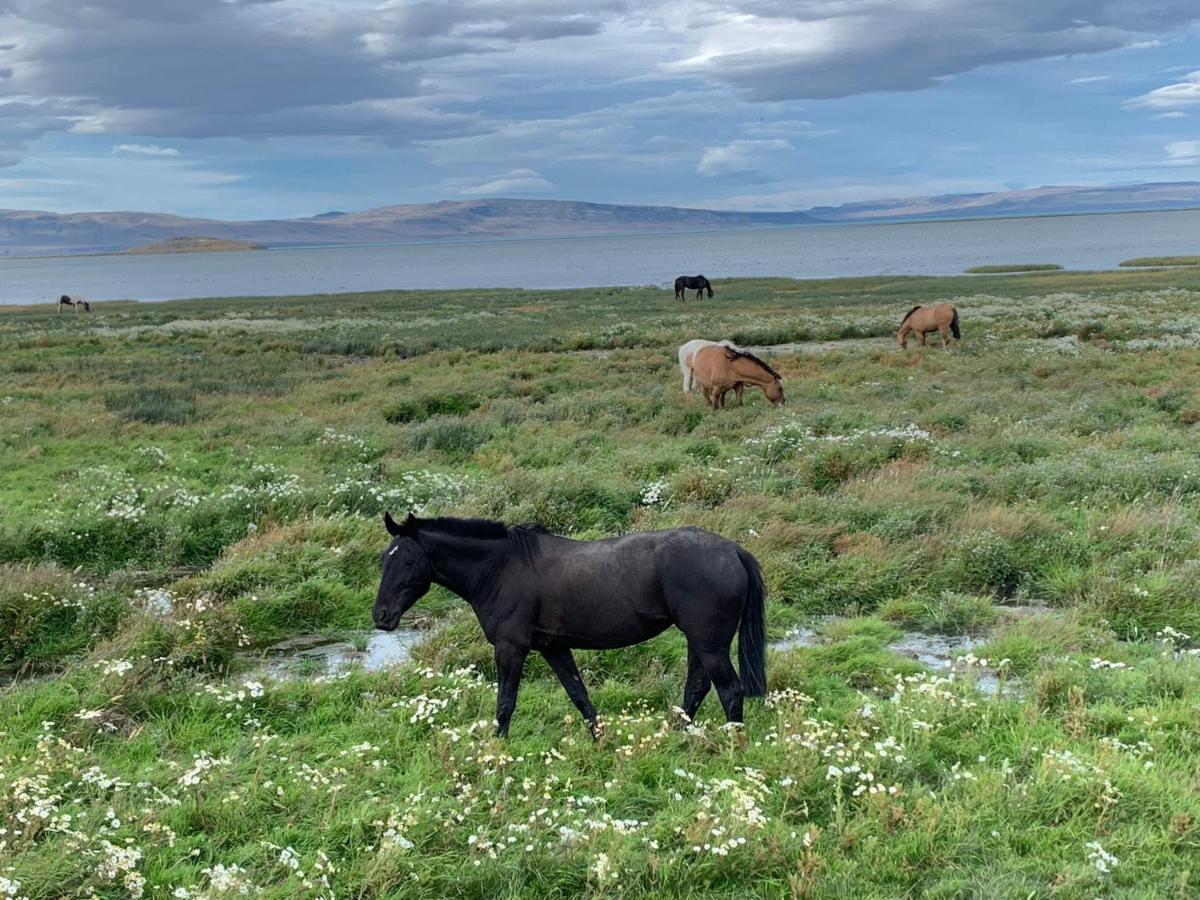 Apart Azul Calafate 엘 칼라파테 외부 사진